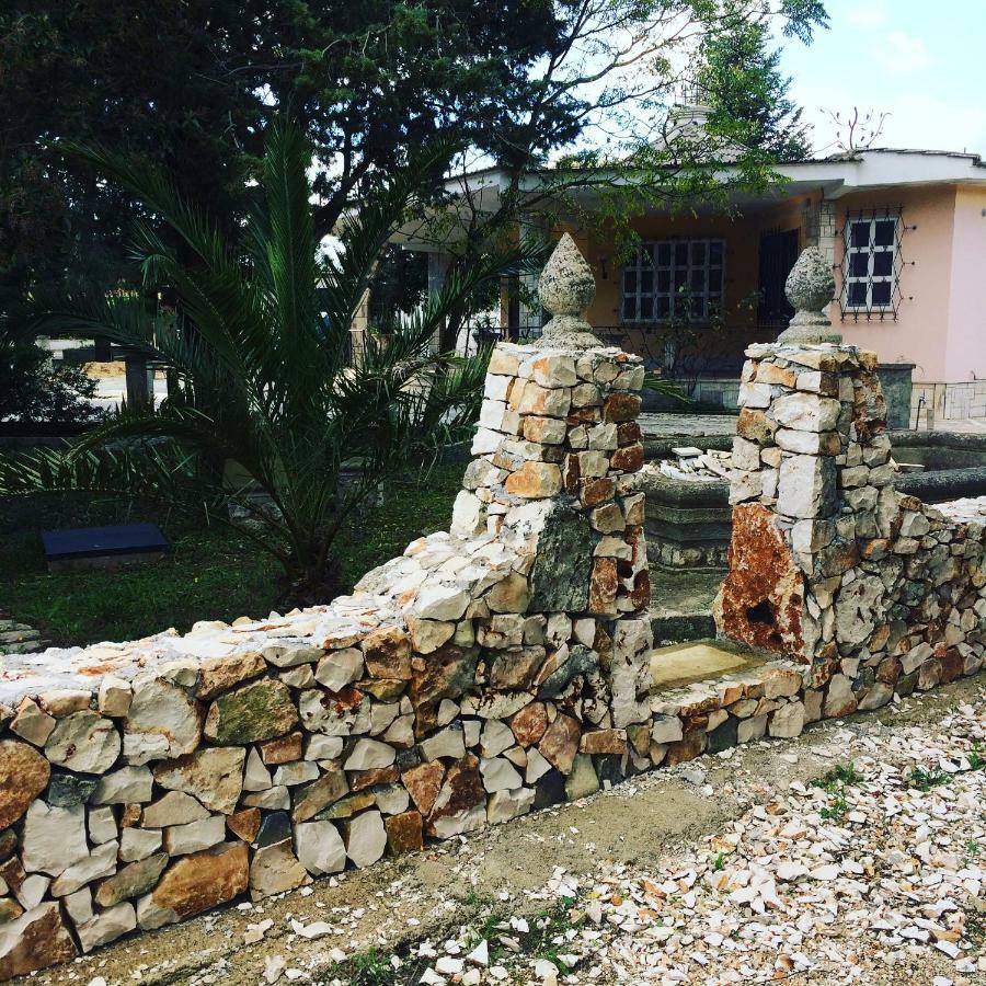 Villa L'Ottagono Con Cucina Parcheggio Privato Telecamerizzato E Wifi Gioia Del Colle Zewnętrze zdjęcie